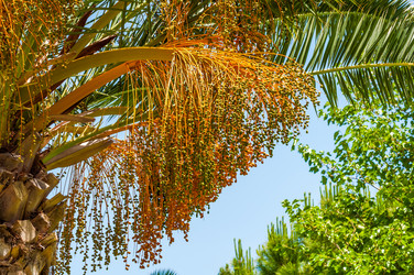 Similar image 5920792