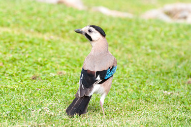 Similar image 5920795