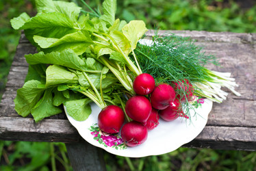 Similar image 5920796