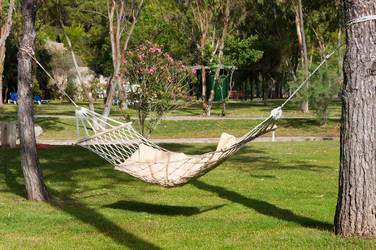 Similar image 5920798