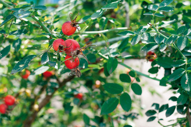 Similar image 5920803