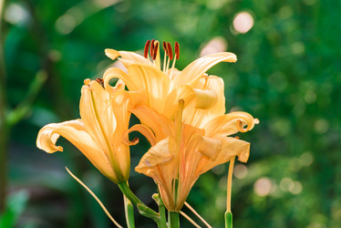 Similar image 5920804