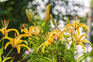 Similar image 5920805