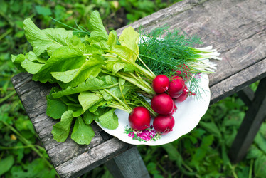 Similar image 5920807