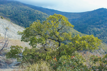 Similar image 5920808