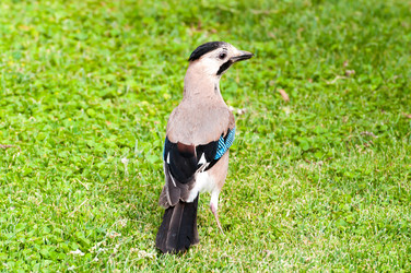 Similar image 5920811