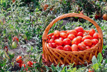 Similar image 5920813