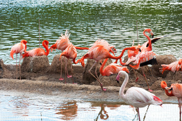 Similar image 5920814