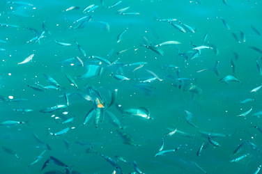 Similar image 5920822