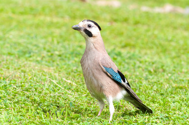 Similar image 5920823