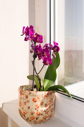 Similar image 5920824