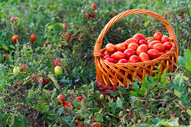 Similar image 5920827