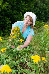 Similar image 5920839