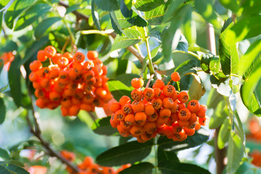 Similar image 5920921