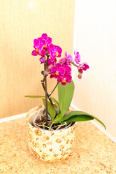 Similar image 5920942