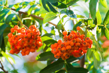 Similar image 5920969