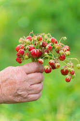 Similar image 5920993