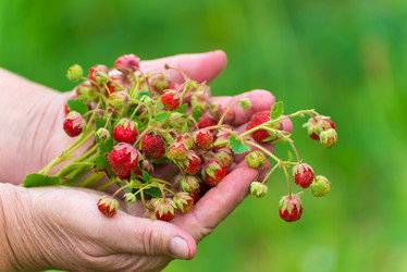 Similar image 5920994