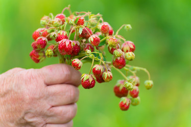 Similar image 5920995