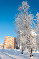 Similar image 5920997