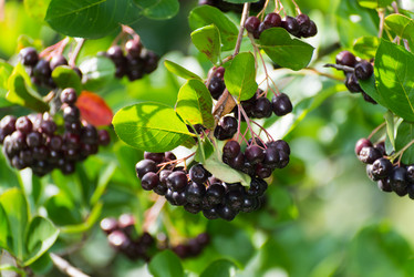 Similar image 5921006