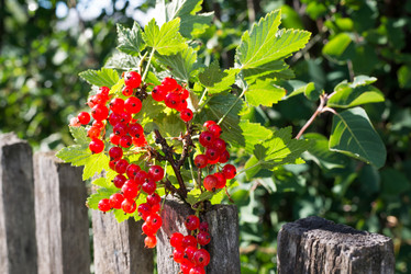 Similar image 5921012