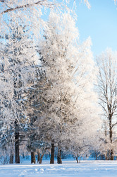 Similar image 5921021