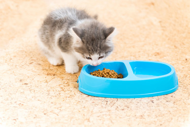 Similar image 5921042