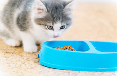 Similar image 5921044