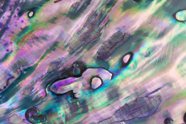 Similar image 5921100