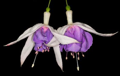 Similar image 5921101