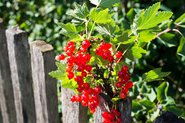 Similar image 5921136