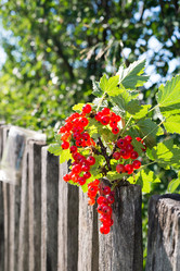 Similar image 5921137