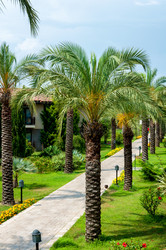 Similar image 5921184