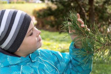 Similar image 5921185