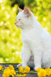 Similar image 5921189