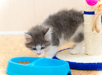 Similar image 5921201