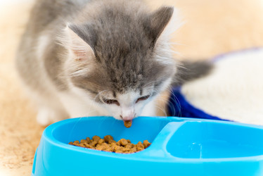 Similar image 5921202