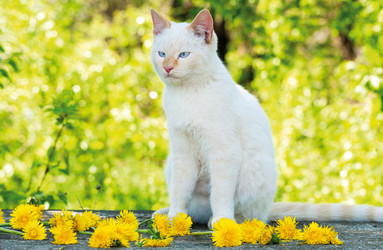 Similar image 5921204