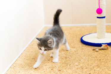 Similar image 5921206