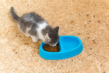 Similar image 5921207