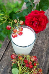 Similar image 5921228