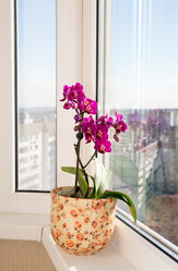 Similar image 5921237