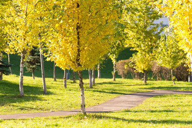 Similar image 5921249