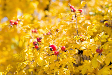 Similar image 5921272