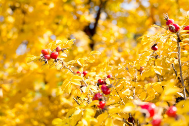 Similar image 5921273