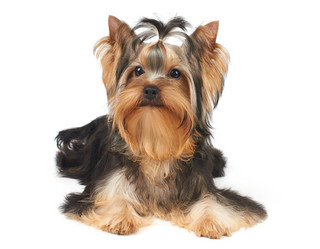 Similar image 5921317