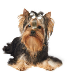 Similar image 5921321