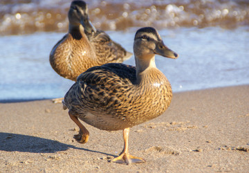 Similar image 5921399