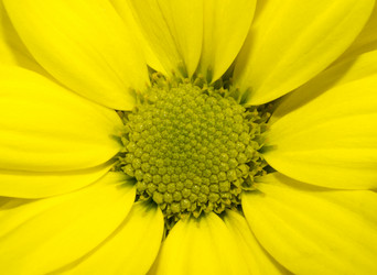 Similar image 5921400